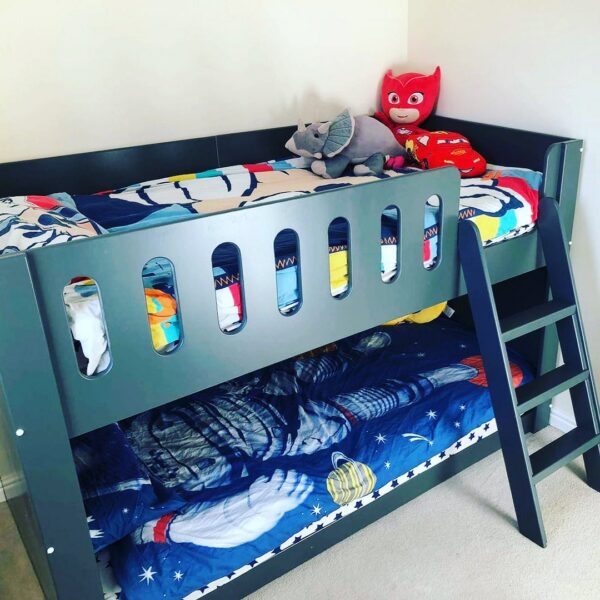 Standard Bunk Bed With A Ladder