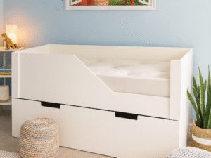 Trundle day bed in modern blue bedroom.